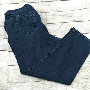 Women's Gloria Vanderbilt Amanda Denim Blue Jeans Mom Jeans Size 24 Plus